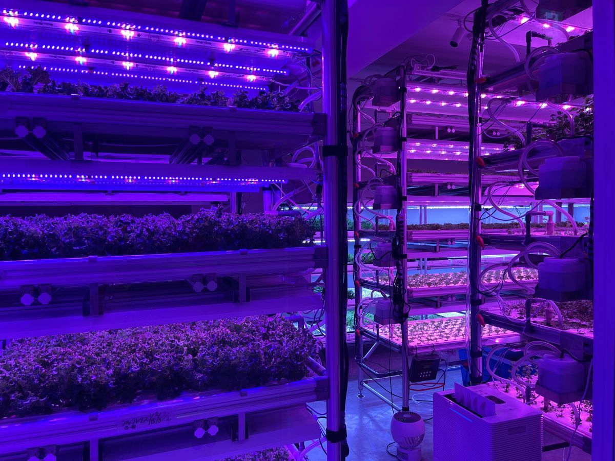 「SustainuS farm」