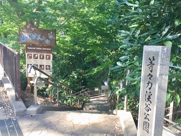 等々力渓谷2