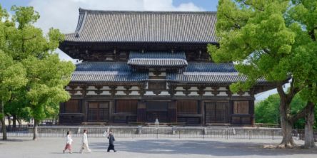 夏の京都観光は朝がおすすめ！OMO京都3施設の「早朝暑気払いツアー」で夏限定の絶景とお勤めを体験