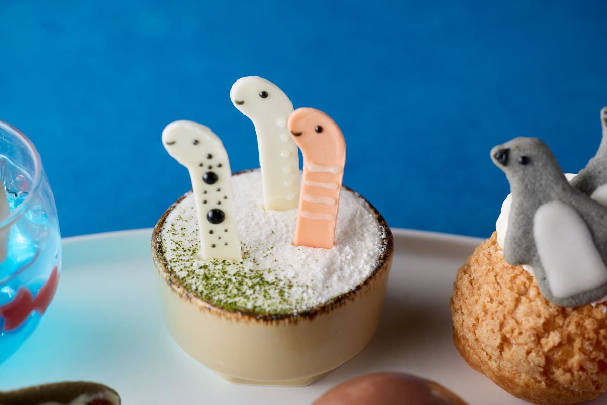 「抹茶ショートケーキ with チンアナゴ・ニシキアナゴ・ホワイトスポッテッドガーデンイール」
