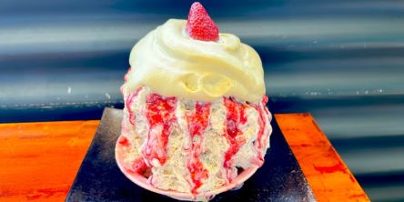 【銀座】一年中楽しめる大人気絶品かき氷！ かき氷とパンケーキの名店「Vinefru銀座」へ