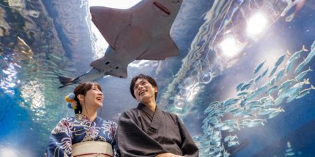 【品川プリンスホテル】風情あふれる浴衣で水族館を楽しもう！ デートにもおすすめの「浴衣で涼やか夏旅プラン」