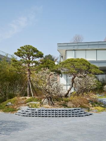ガブリエル・オロスコの庭園／提供：リウム美術館
