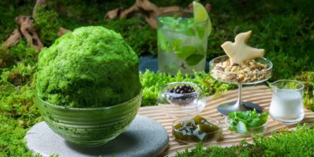 この夏「奥入瀬渓流ホテル by 星野リゾート」で食べたい！ 新感覚のかき氷「おいらせこけ玉氷」って？