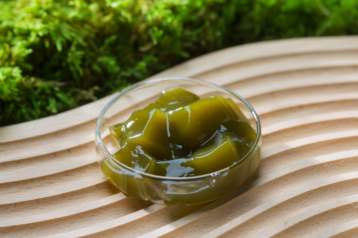 湿度を纏い輝く苔をイメージしたわらび餅