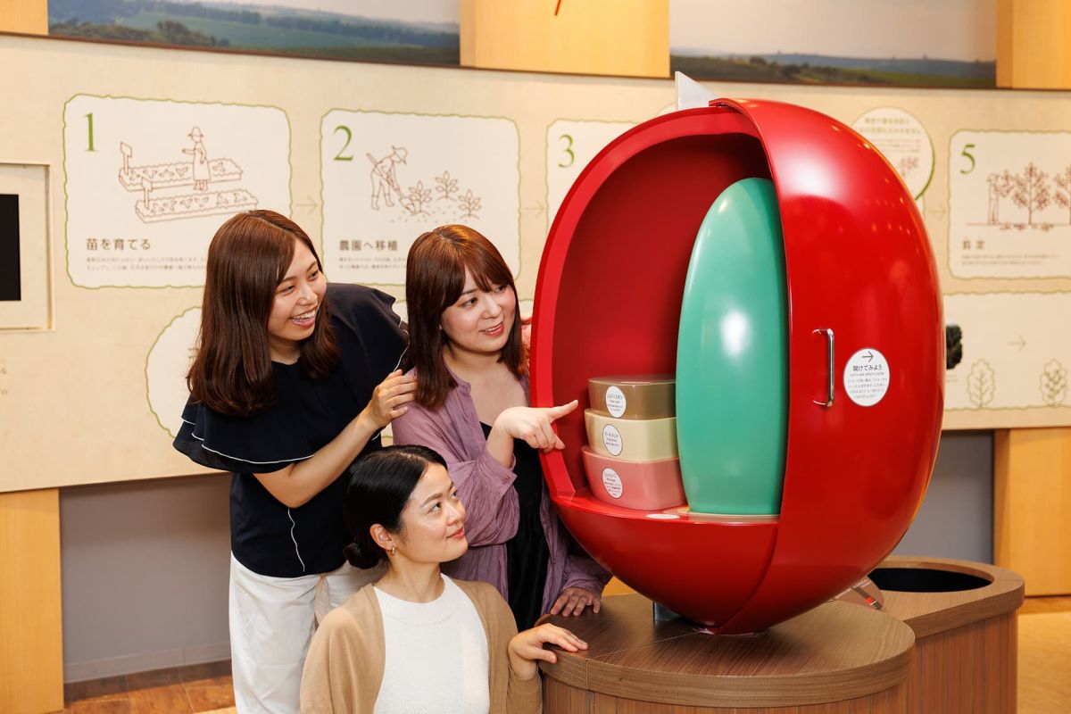 コーヒー豆の栽培について楽しく学べる！