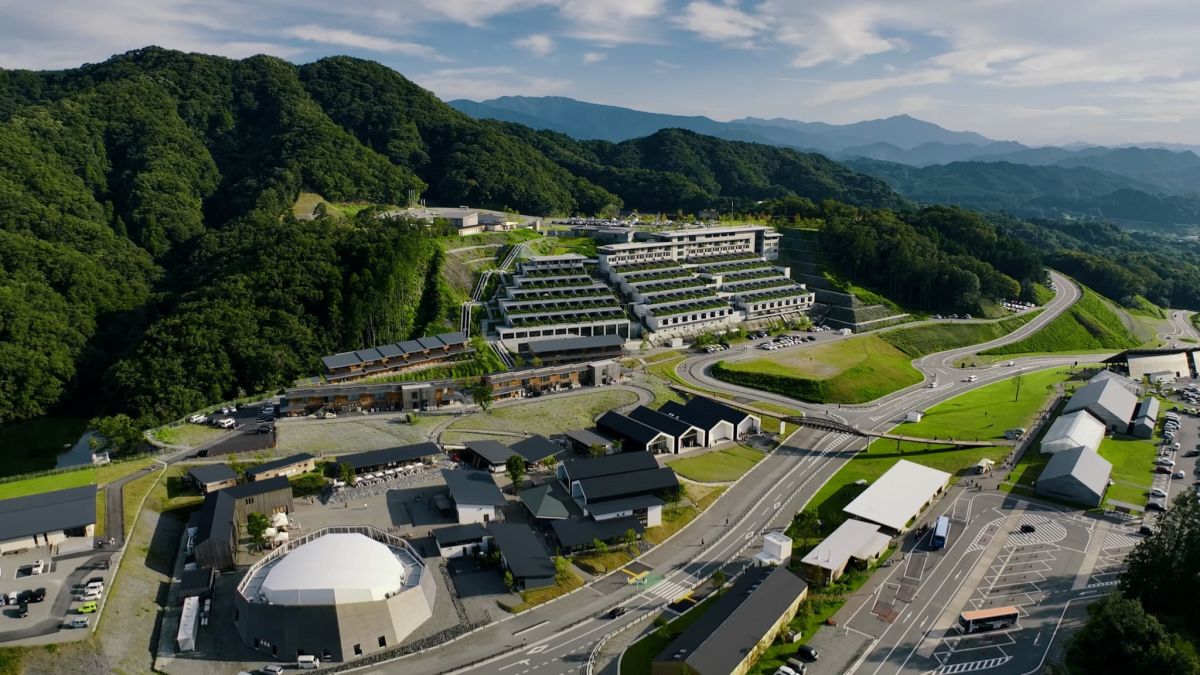 VISON全景