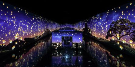 【韓国現地レポ】ソウルから日帰りで楽しめる！ アルテミュージアム江陵で没入体験