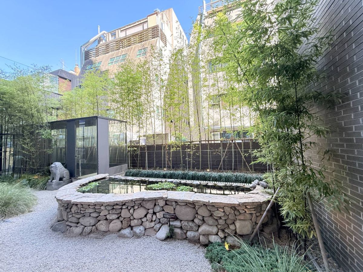 店内から眺められる「ヘチの庭園」。季節ごとに変わる景色も楽しみ