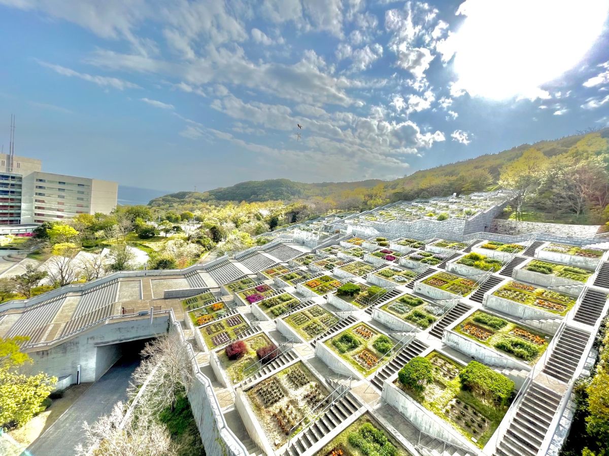 【兵庫】淡路島の絶景を楽しみ尽くす!海絶景vs花絶景あなたはどっち?