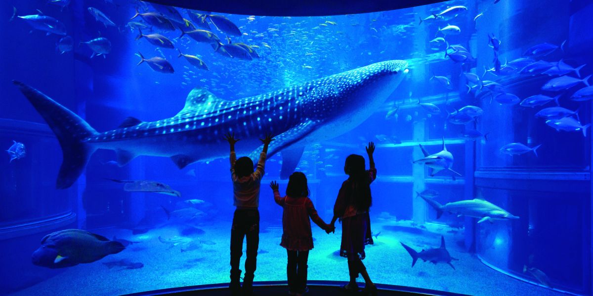 海遊館