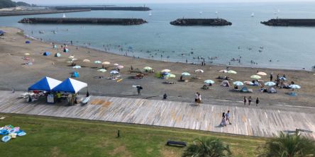 高知県のおすすめビーチ・海水浴場、2026年度の開設・中止は？
