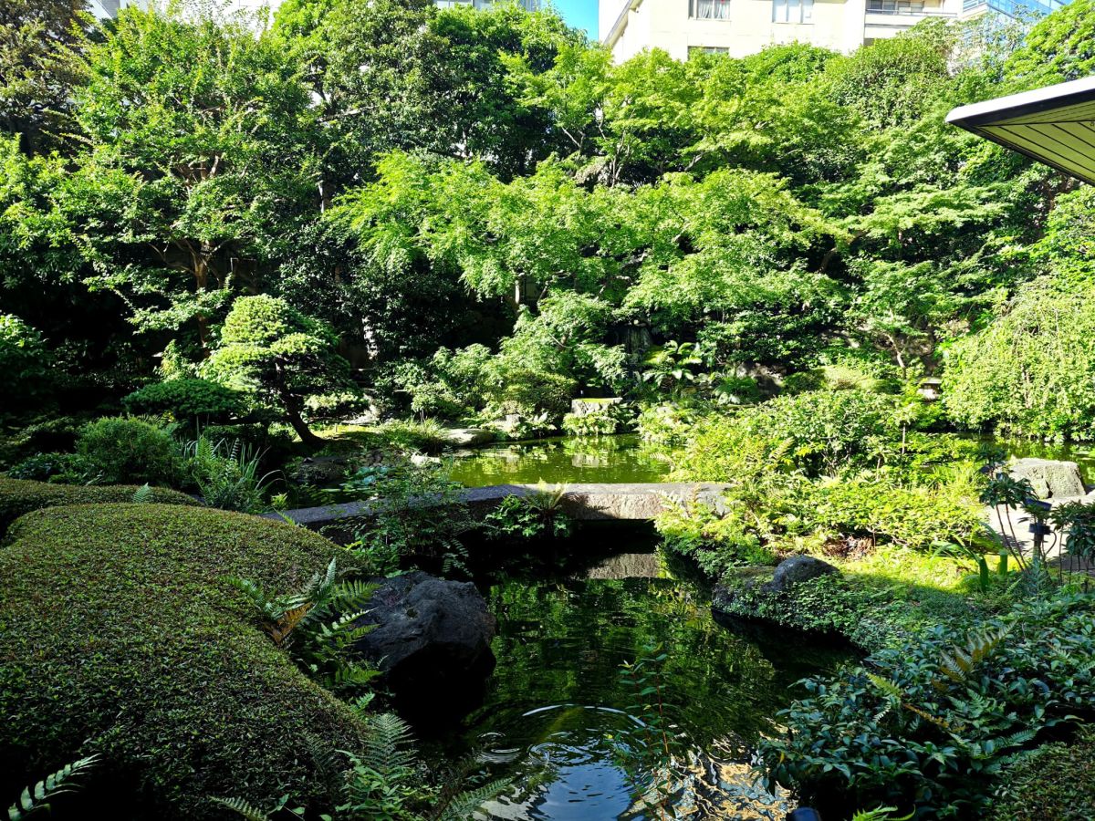 美しい庭園