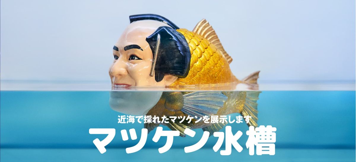 マツケン魚展示