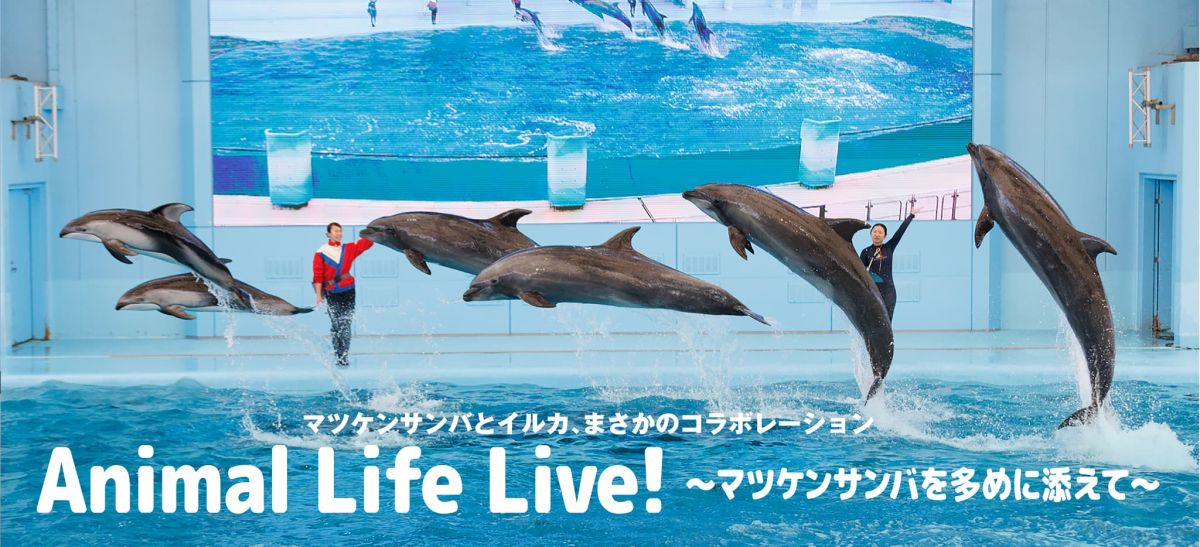 『Animal Life Live！』〜マツケンサンバを多めに添えて〜