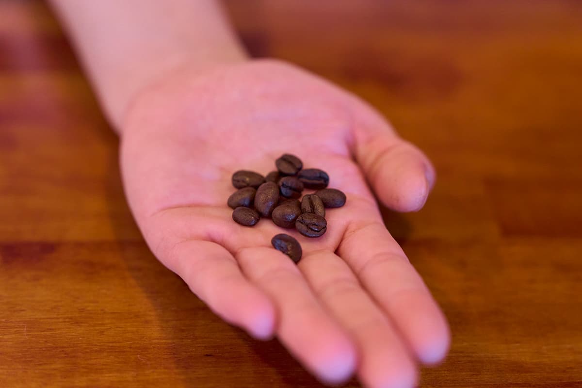 鴛鴦茶に使用するコーヒー豆