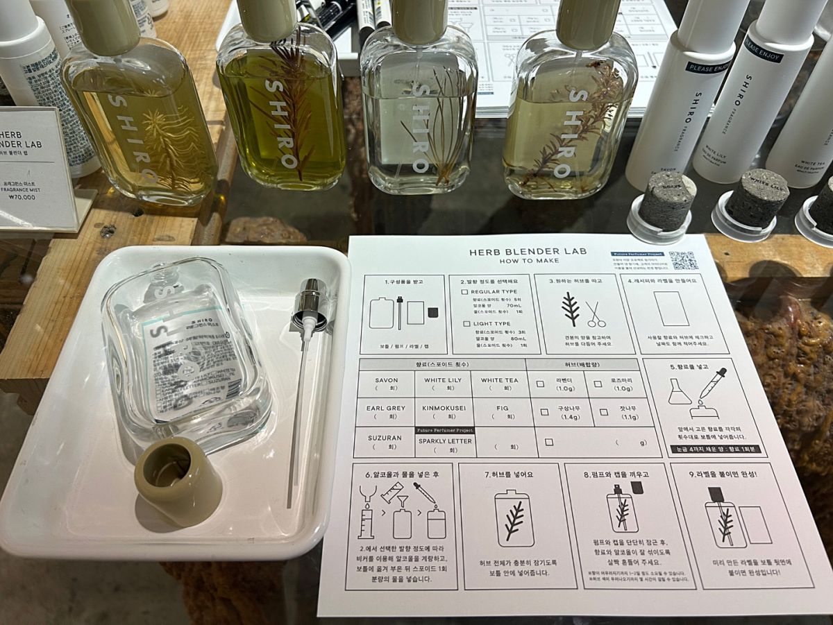 体験に必要なキットと案内シート