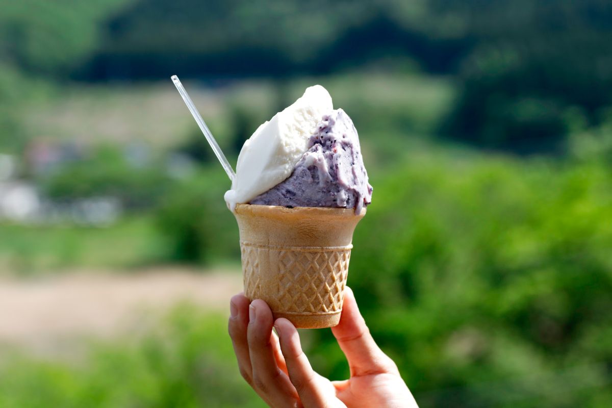 道の駅遠野風の丘で販売しているジェラート
