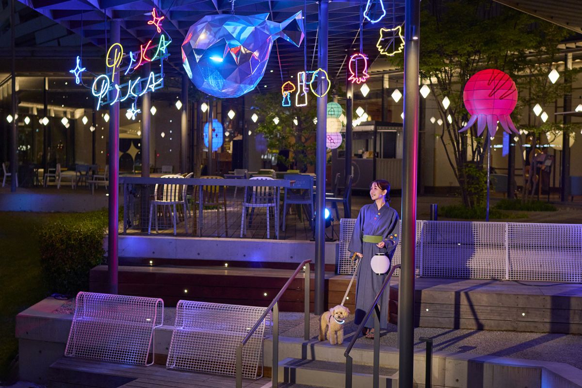 OSAKA PIKA PIKA　NIGHT