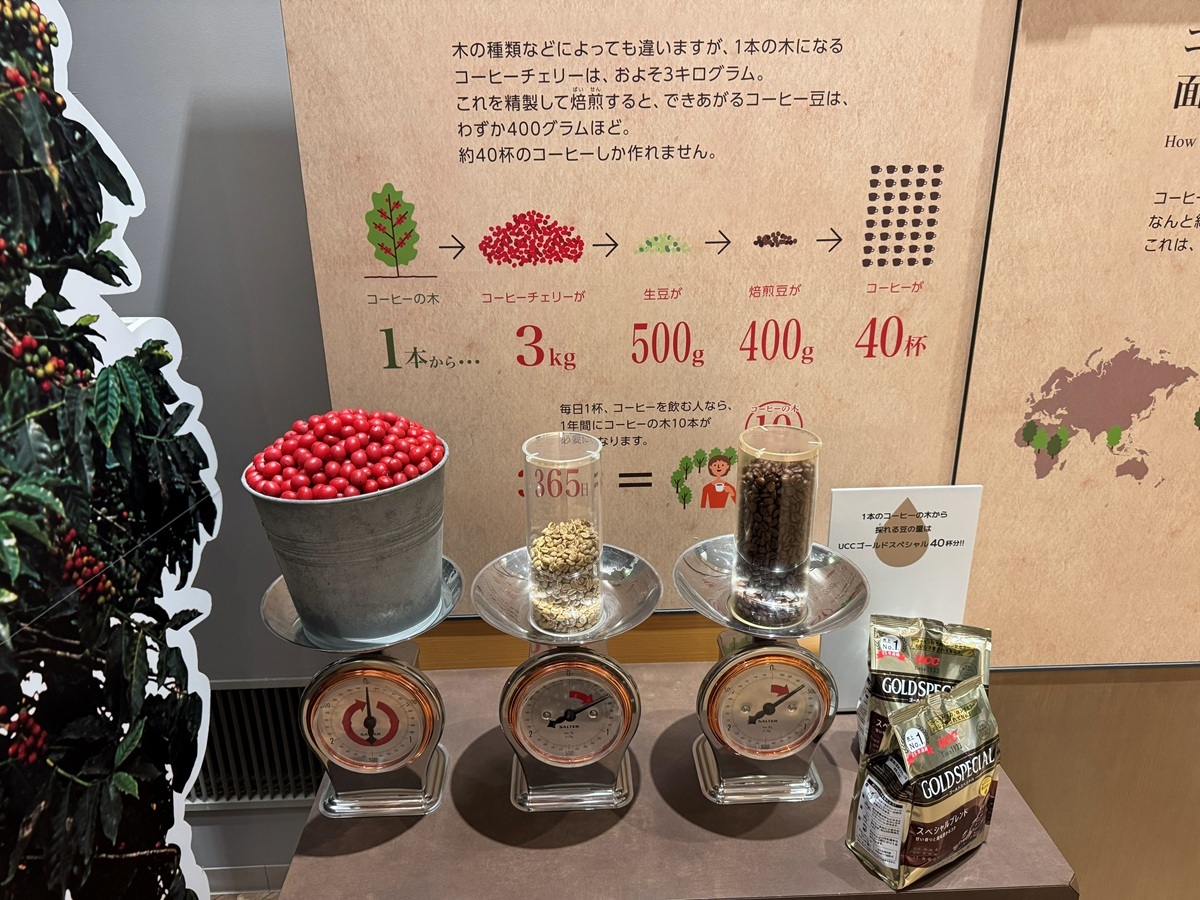 展示1