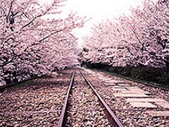 蹴上インクライン／京都市上下水道局提供