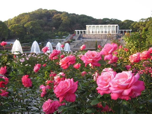 神戸市立須磨離宮公園