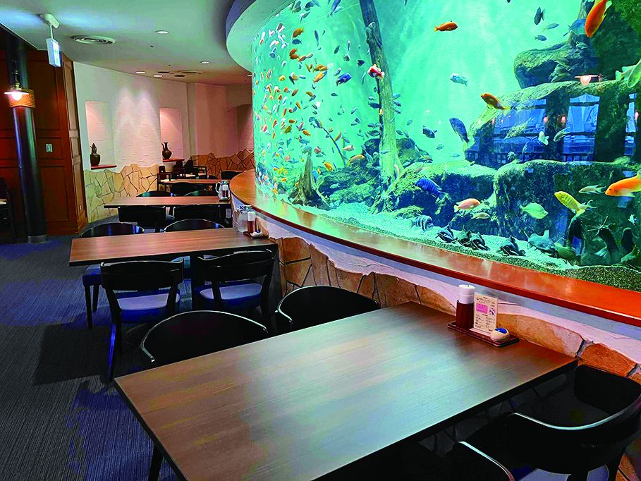名古屋港水族館　レストラン