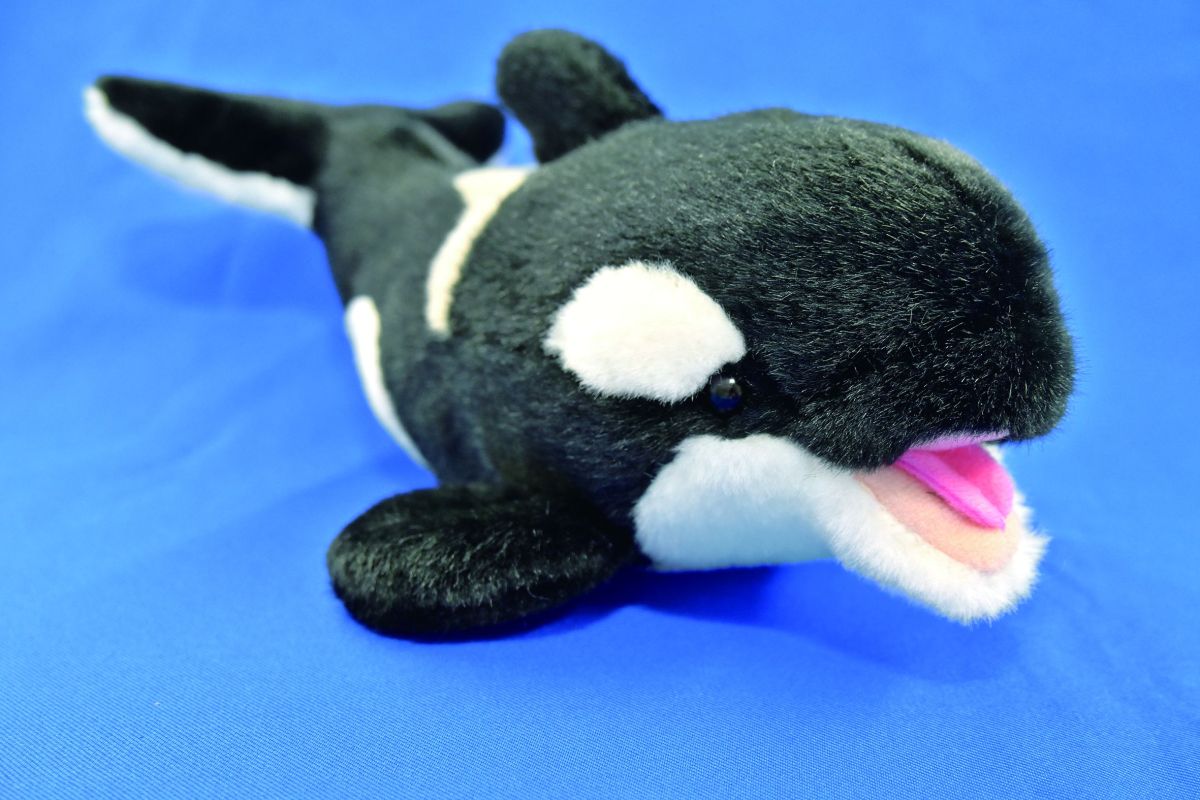 名古屋港水族館　お土産