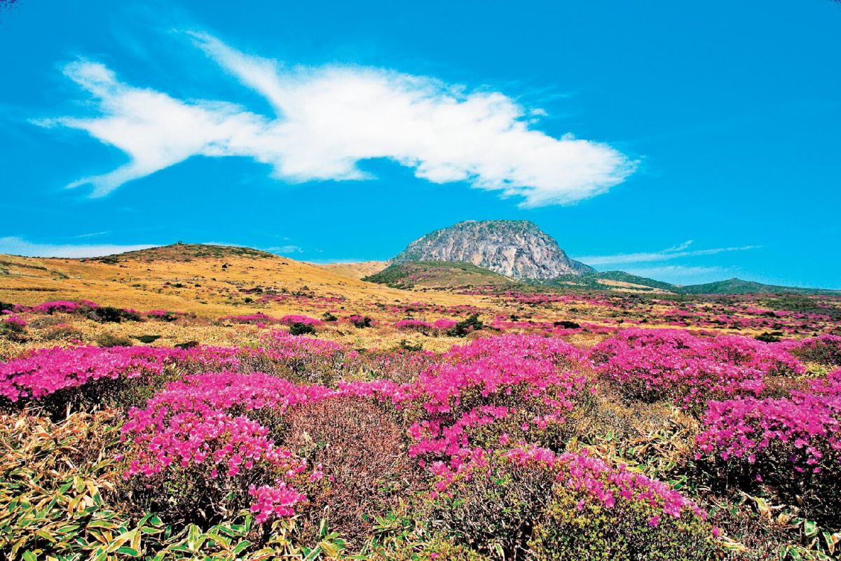 漢拏山