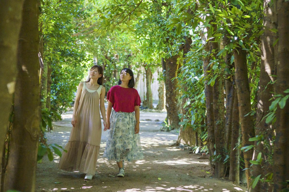 備瀬のフクギ並木