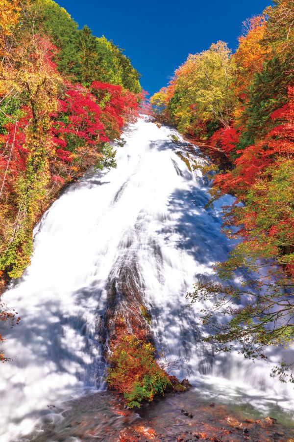 湯滝の紅葉