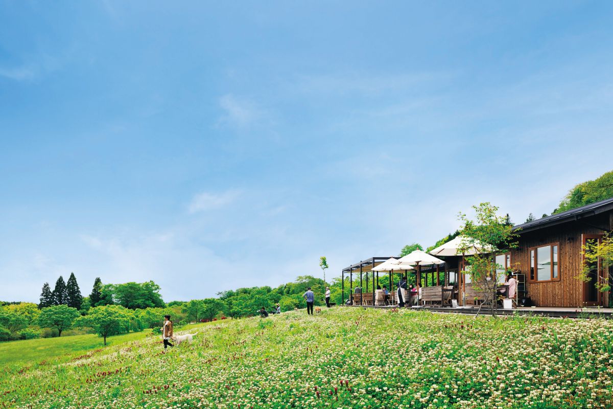 garden AUX PARADIS