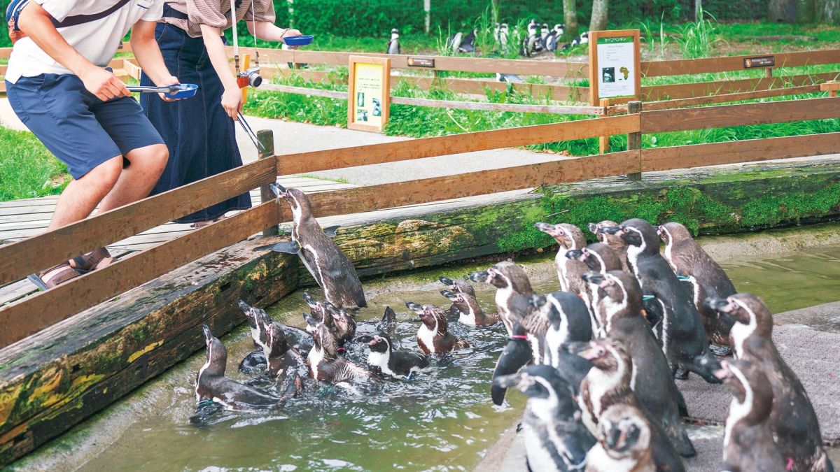 那須どうぶつ王国