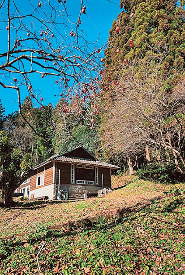 喫茶 新川屋
