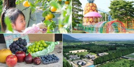 よくばりな秋！ 色々な味覚狩りができて1日遊びたいスポット10選