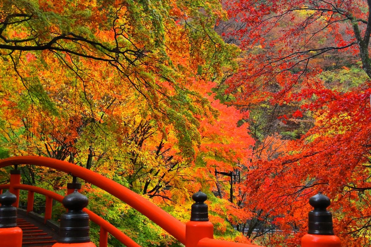 紅葉と橋