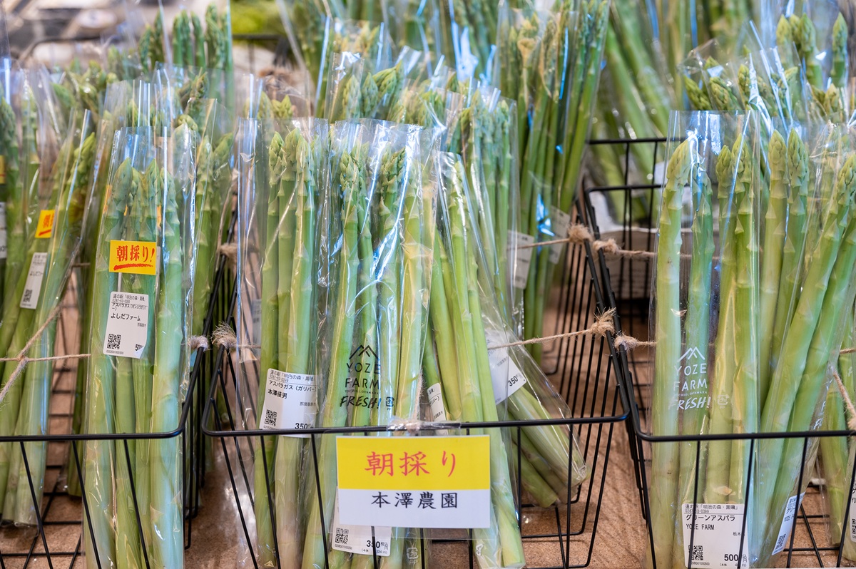 朝採りの野菜はバツグンのおいしさ