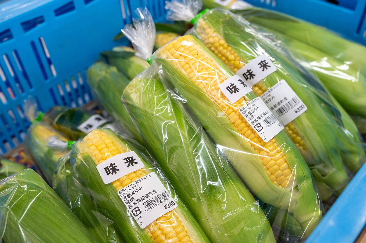 「道の駅 那須高原友愛の森」夏のトウモロコシは大人気