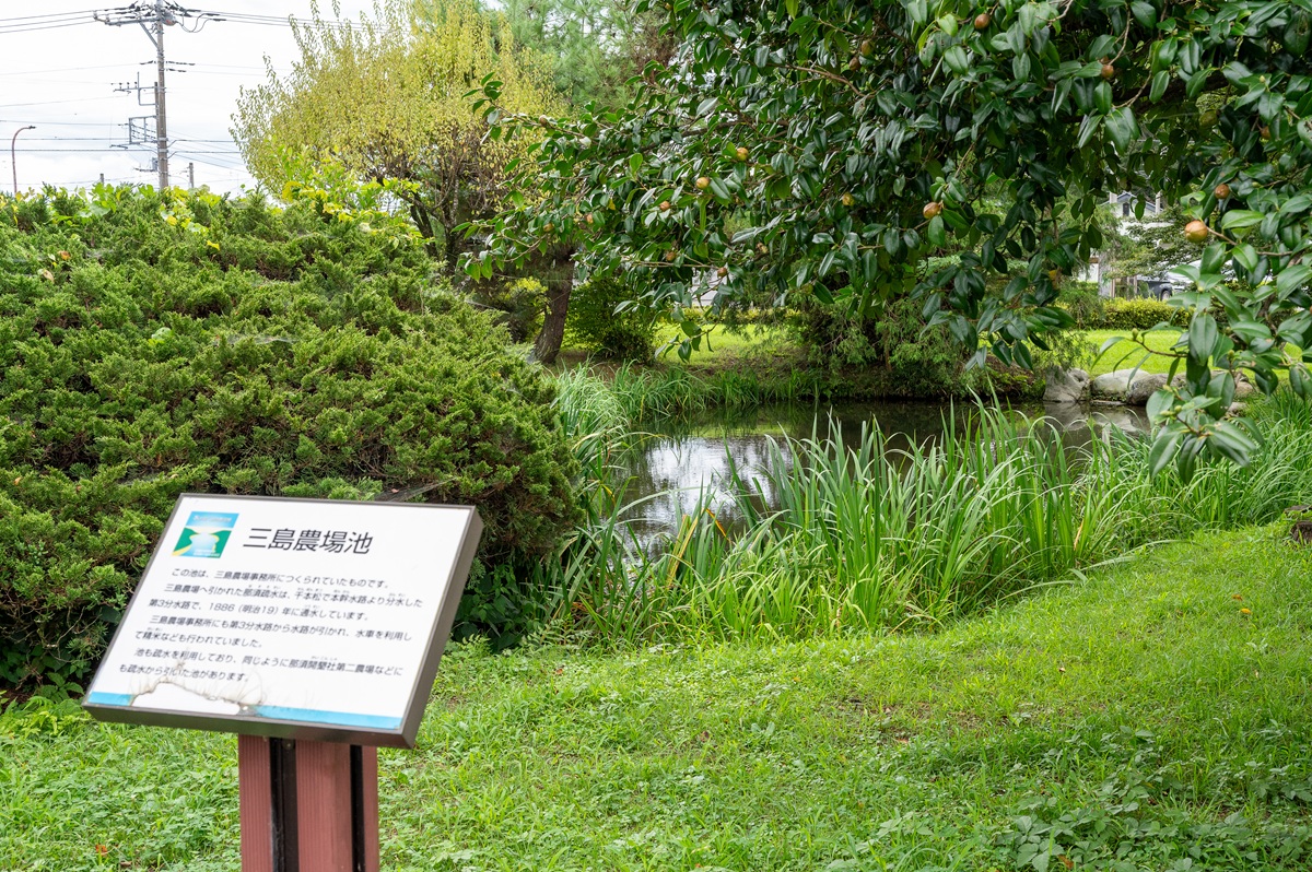 三島農場池。豊かな水辺環境はビオトープにもなっている
