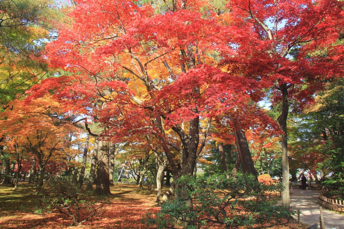 兼六園