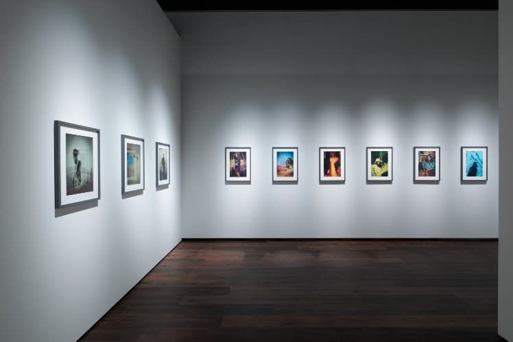 開館記念特別展「蜷川実花展　はじまりの光」