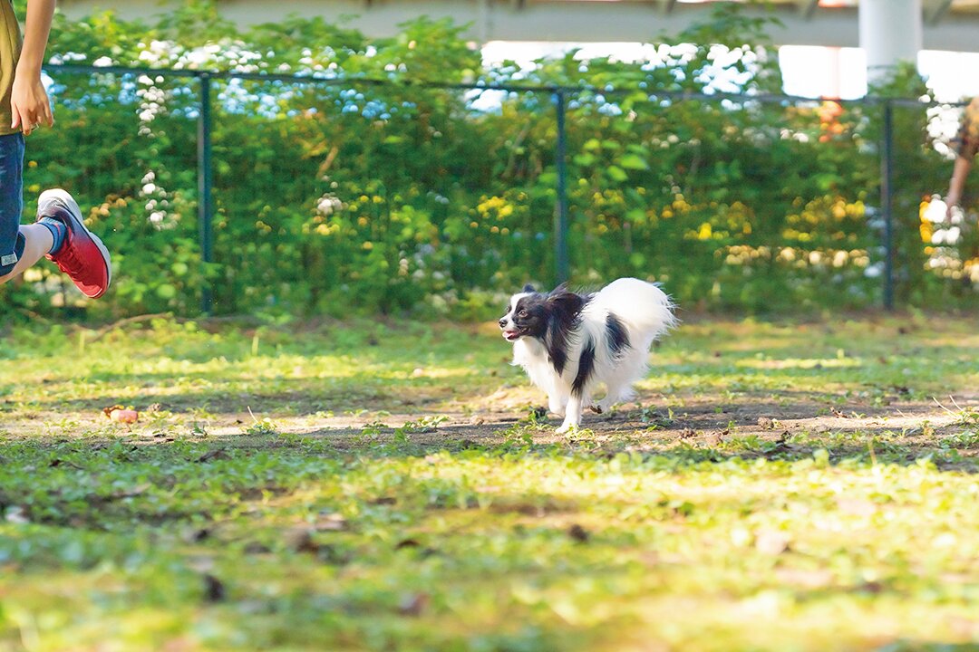 那須ハイランドパーク