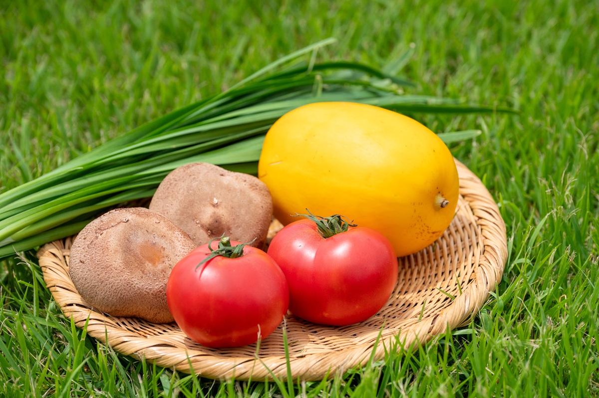 特産にニラ、巨大シイタケ、夏野菜も豊富に揃う