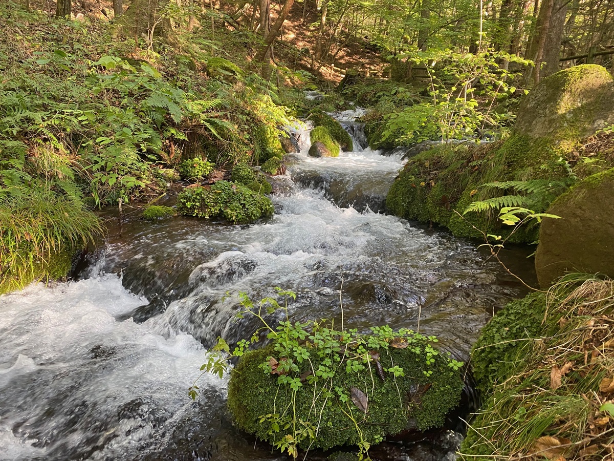尚仁沢湧水。遊歩道でほとりを歩くことができる
