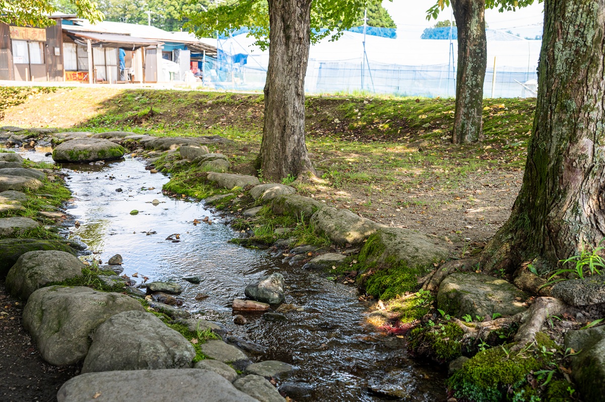 「道の駅 湯の香しおばら」水辺の清々しい環境