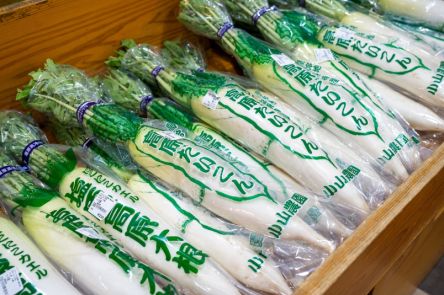 【道の駅 湯の香しおばら】塩原高原大根や宙飛ぶメロンなど旬の野菜が大集結｜栃木県