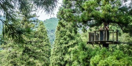 まだ知られていない絶景が待つ観光地！奈良・奥大和エリアでしたい5つのこと～空中ウォークやSUPなどのアクティビティから天空の郷まで～
