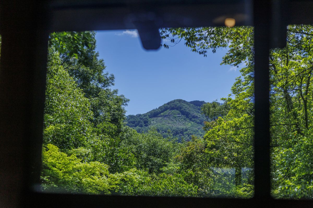 05006_matsu_255