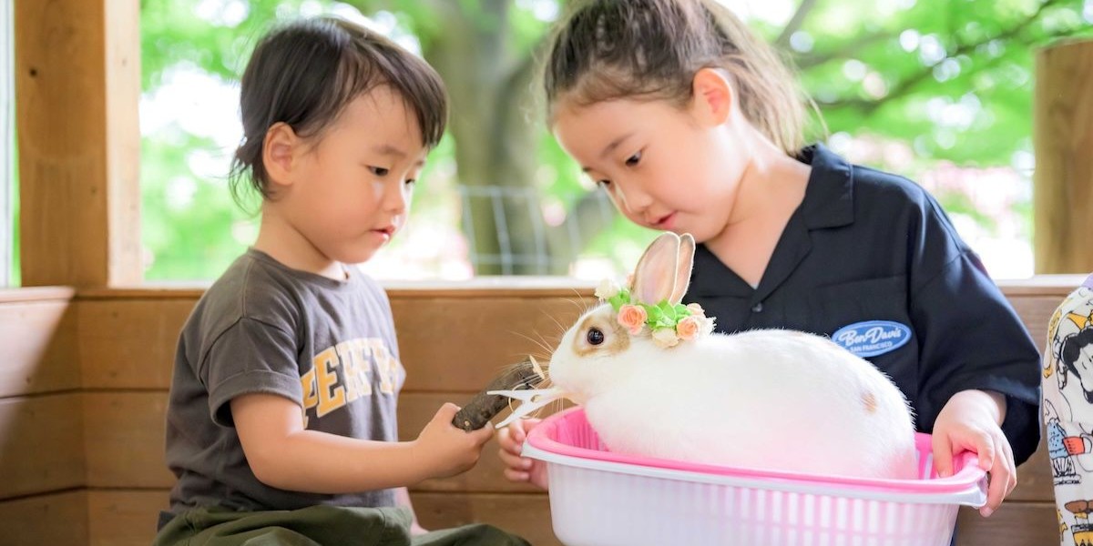 今すぐモフりたい！「伊香保グリーン牧場」＆ウサギカフェでふわもこアニマルに癒される