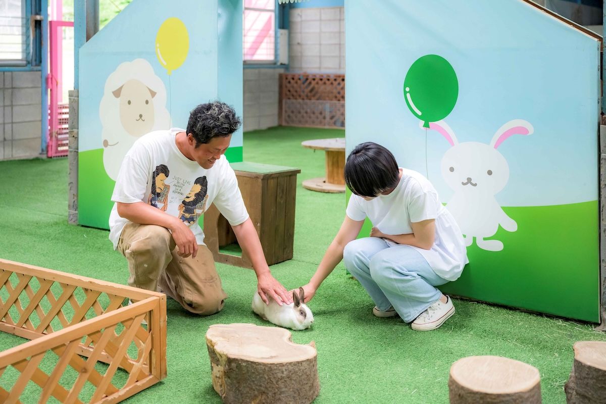 うさぎとのふれあい
